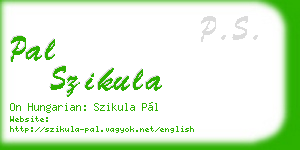 pal szikula business card